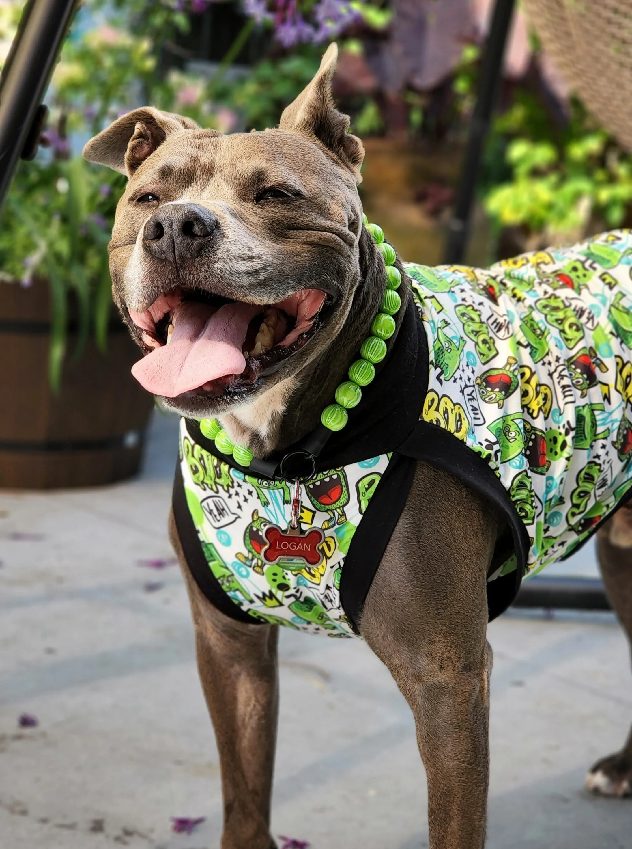 Green Graffiti Goblins Dog Pajamas