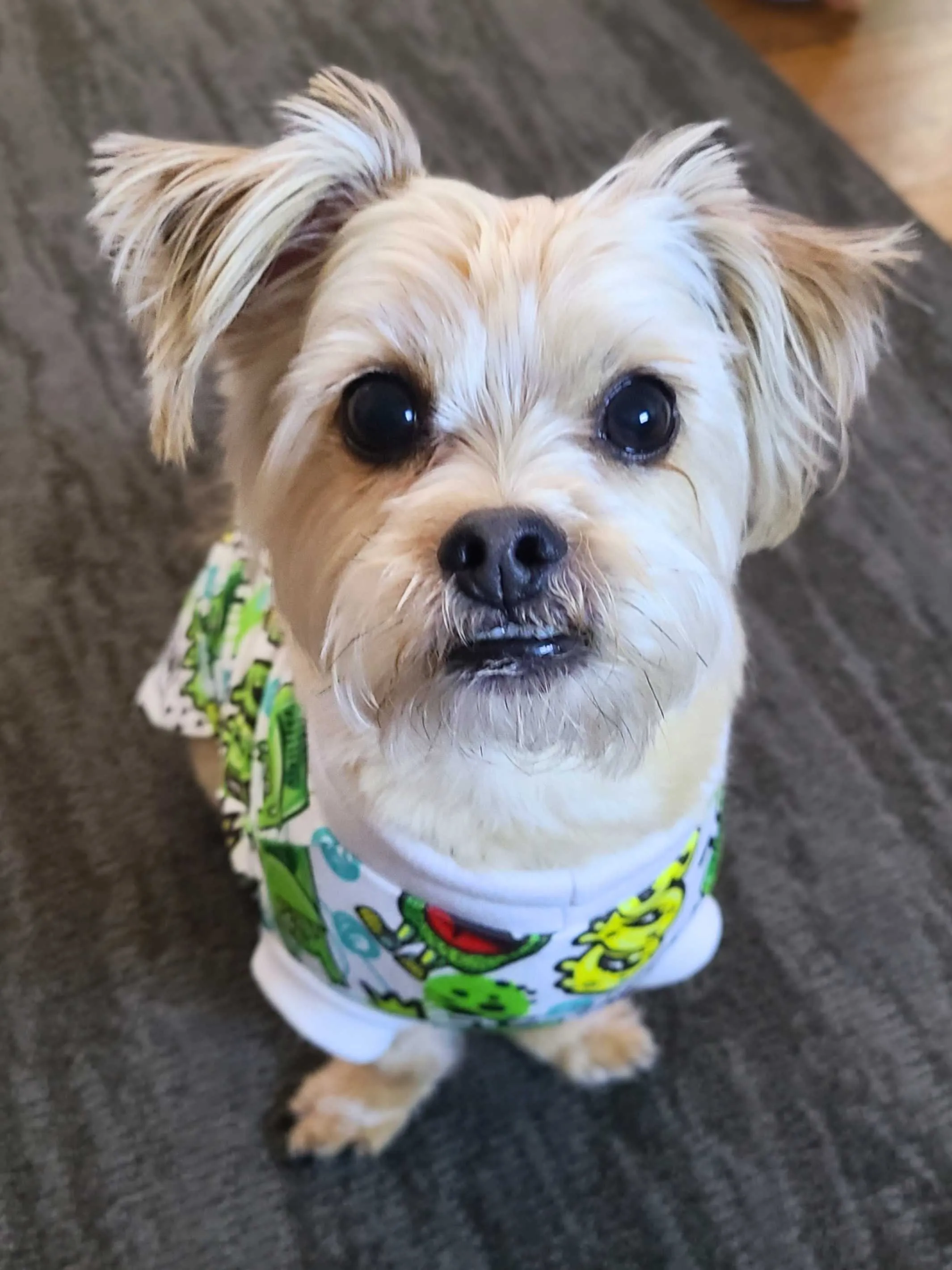 Green Graffiti Goblins Dog Pajamas