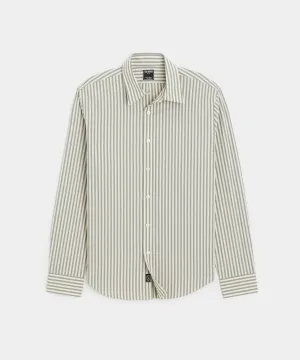 Poplin Sport Shirt in Dark Grey Bengal Stripe