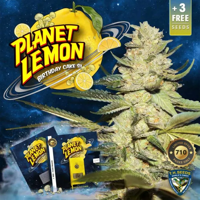 T.H. Seeds - Planet Lemon   2 x Free Seeds & 1 French Macaron
