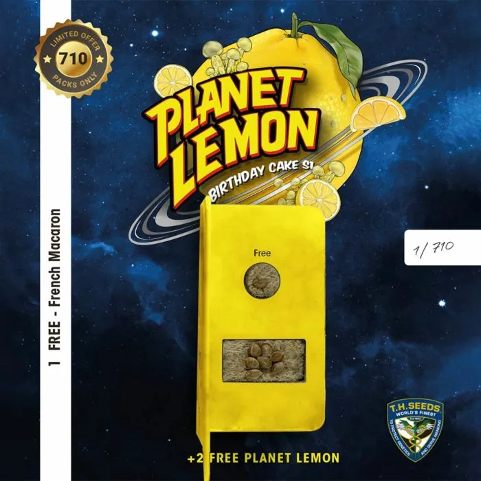 T.H. Seeds - Planet Lemon   2 x Free Seeds & 1 French Macaron